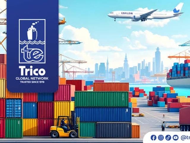 Trico Cargo artwork