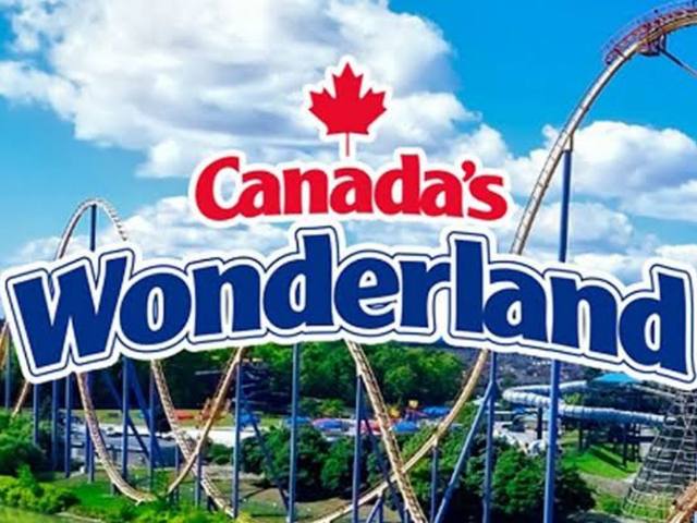 Wonderland artwork